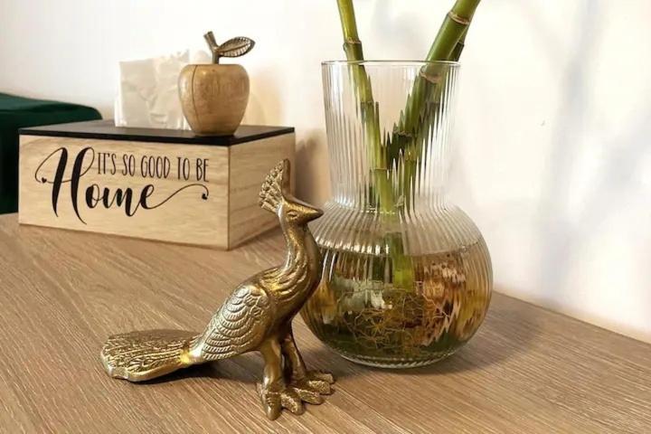 Peacock Studio Năvodari Екстериор снимка