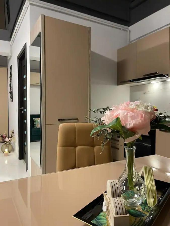 Peacock Studio Năvodari Екстериор снимка