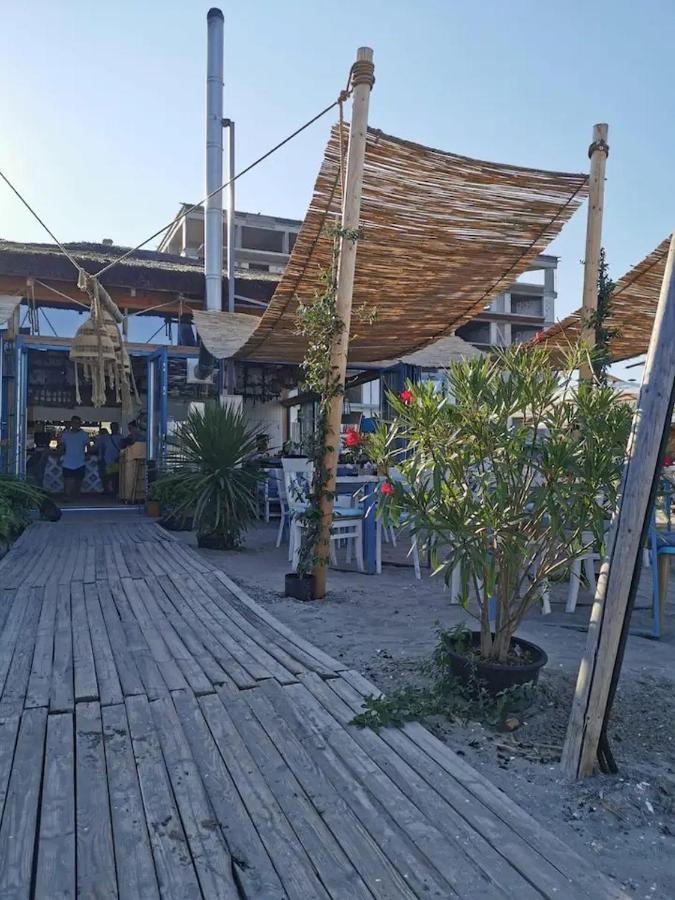 Peacock Studio Năvodari Екстериор снимка